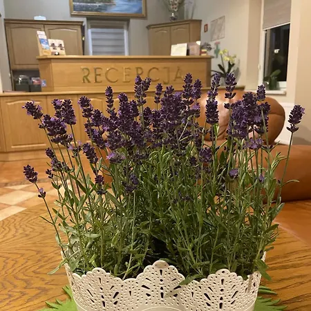 Pensjonat I Restauracja Nowak 3* Łapsze Niżne