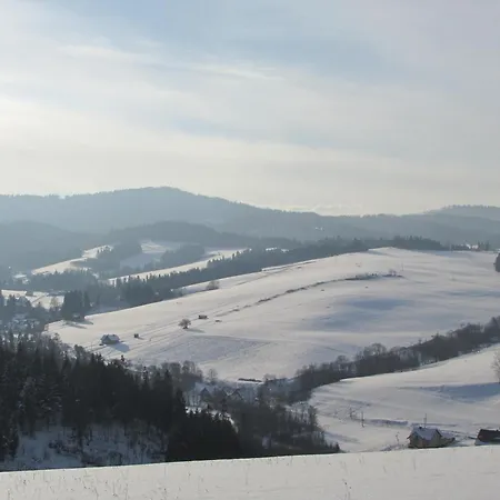 Gasthuis Pensjonat I Restauracja Nowak Łapsze Niżne