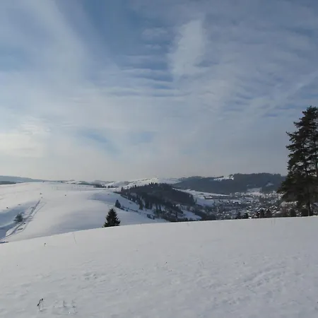 Pensjonat I Restauracja Nowak Łapsze Niżne