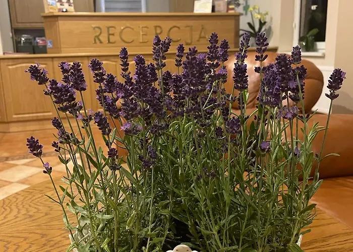 Pensjonat I Restauracja Nowak 3* Łapsze Niżne