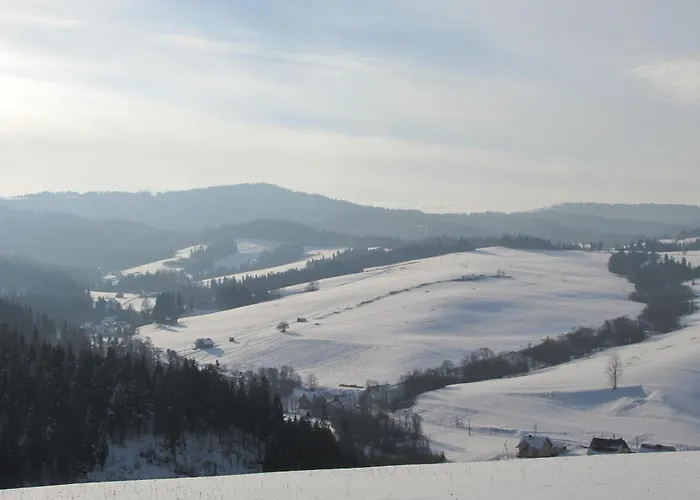 Vendégház Pensjonat I Restauracja Nowak Łapsze Niżne