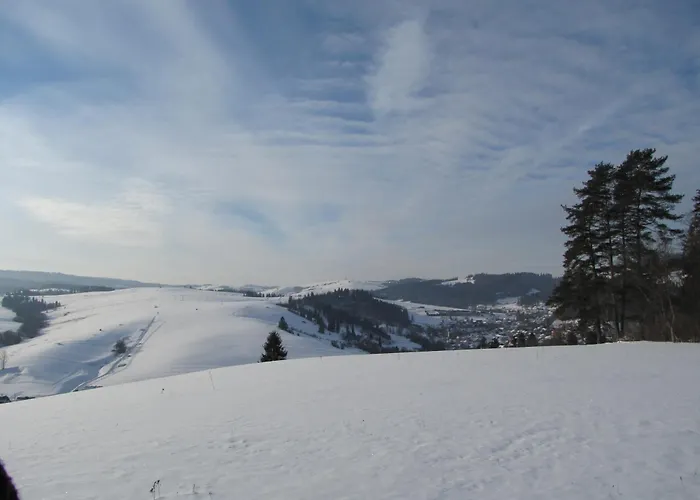 Pensjonat I Restauracja Nowak Łapsze Niżne