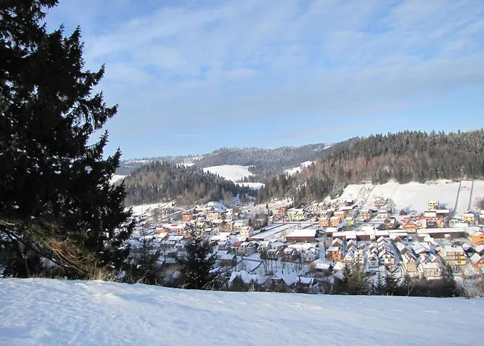 Pensjonat I Restauracja Nowak Vendégház